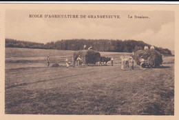 Posieux, Grangeneuve. Ecole D'agriculture. La Fenaison - Posieux
