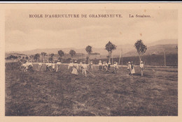 Posieux, Grangeneuve. Ecole D'agriculture. La Fenaison III - Posieux