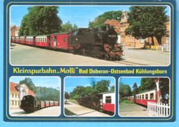 Bad Doberan (Rostock-Mecklenburg-Vorpommern)-Kleinspurbahn-Molli-zwischen Bad Doberan/Ostseebad Kühlungsborn-Lokomotive - Bad Doberan