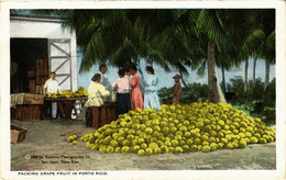 PC CPA PUERTO RICO, PACKING GRAPE FRUIT, Vintage Postcard (b22542) - Puerto Rico