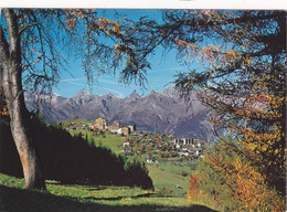 SUISSE,SCHWEIZ,HELVETIA,SWISS,SWITZERLAND,VALAIS,HAUTE NENDAZ - Nendaz