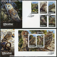 GIBRALTAR (2020). Gibraltar Owls, Eulen, Chouette, Buho, Rapaces Nocturnas, Birds Prey, Uilen, Strigiformes - FDCs - Gibraltar