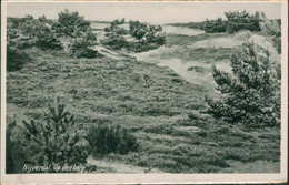 Niederlande - Alte Echtfotokarte NIJVERDAL, Op Den Berg - Nijverdal