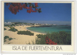 FUERTEVENTURA, N° 417 - CORRELEJO - Blancas Playas Y Mar Cristalino Para El Placer De Los Ojos Y Del Espiritu - Fuerteventura