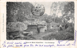 Thème: Dolmen Et Menhir:     Bois De Mont-Aiguillon     77         Les Dolmens    (voir Scan) - Dolmen & Menhirs