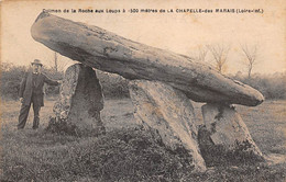 Thème: Dolmen Et Menhir:     La Chapelle Des Marais   44      Dolmen De La Roche Aux Loups       (voir Scan) - Dolmen & Menhirs