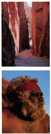 (S 21) Australian - 2 Attached Postcards  - NT - Pitjantjatjare Aboriginal Elder & Standley Chasm - Ohne Zuordnung