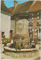 LOT SALVIAC FONTAINE DU 13eme SIECLE - Salviac