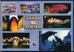 °°° GF980 - EGYPT - SHARM EL SHEIKH - 2004 With Stamps °°° - Sharm El Sheikh