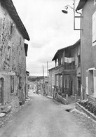 AVAILLES - Vieilles Maisons - Les Editions Du Moulin, Sartrouville - Availles Limouzine