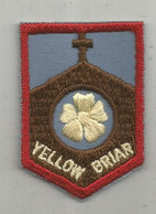 JC , écusson Tissu , Scouts , Scout , Scoutisme, YELLOW BRIAR - Patches