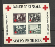 Pologne BF Save Polish Children  Croix Rouge Hellbrunn Poland  Polen Polska Guerre 39/45 - Vignetten Van De Bevrijding