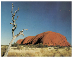 (T 11) Australia - NT - Uluru (Ayers Rock) NT11 - Uluru & The Olgas
