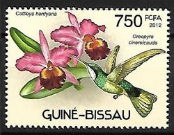 Guinea Bissau - MNH ** 2012 : Hummingbirds And Orchids :  Grey-tailed Mountaingem  -  Lampornis Cinereicauda - Colibris