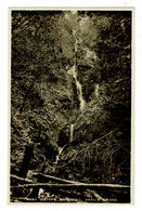 Ref 1414 - Raphael Tuck Postcard Nant Lletty's Waterfall Devil's Bridge Cardiganshire Wales - Cardiganshire