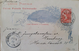 A) 1895, BRAZIL, POSTAL STATIONARY, FROM TO RIO DE JANEIRO TO HAMBURG – GERMANY, LIBERTY STAMP - Lettres & Documents