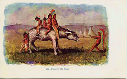 11399 - U.S.A   -  Indiens -    INDIAN  PAPOOSES ??? Copyrigth 1904  - By N. TAMMEN - Illustrateur - - Denver