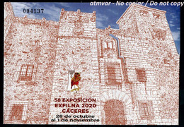 ESPAÑA SPAIN ESPAGNE (2020) - HB 58 Exposicion EXFILNA 2020 CACERES - EXFILNA VIRTUAL X COVID 19 - MINT - Blocks & Sheetlets & Panes