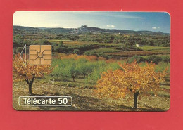 TELECARTE 50  U TIRAGE 4000 000 EX.Au Fil Des Saisons Joli Paysage  ---- X 2 Scan - Seasons