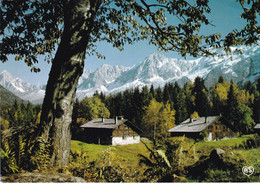 CHALETS AU PIED DU MONT BLANC (ANA5) - Autres & Non Classés