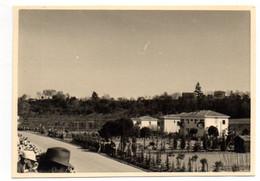 IMOLA - GRAN PREMIO MOTOCICLISTICO - VERA FOTO  ANNI 50 10 X 6,5  - REAL PHOTO - F792 - Imola