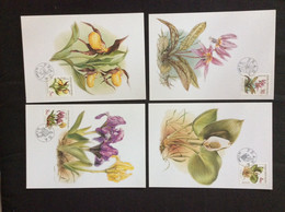 4 Cartes Maximum Fleurs Protégées : Iris , Dent De Chien , Sabot De Venus , Calia Des Marais - FDC