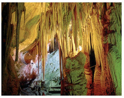 (U 16) Australia - SA - Mount Gambier Caves (CSB1313) - Mt.Gambier