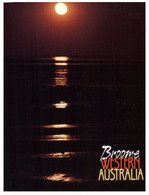 (U 16) Australia - WA - Broome Sunset (IR150) - Broome