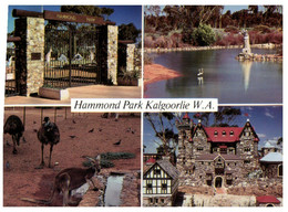 (U 30) Australia - WA - Kalgoorlie Hammond Park - Kalgoorlie / Coolgardie