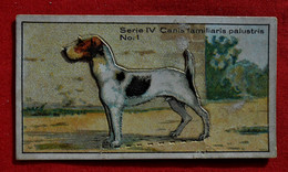 Chromo Découpi Biscuit De Honingpers - J. Bosteels-Van Daele St-Niklaas - Chien - Otros & Sin Clasificación