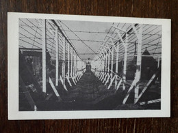 L30/564 Prisoner Of War Camp . Camp Upton 1943 . Long Island . N.Y - Long Island