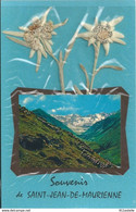 73   SAINT JEAN DE MAURIENNE , Souvenir  Fleurs   Edelweiss - Collections & Lots