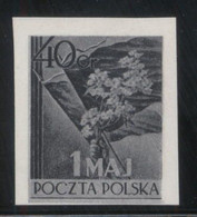 POLAND 1954 MAY LABOUR LABOR DAY BLACK PRINT PROOF NHM Flowers Flag Mayflowers - Essais & Réimpressions