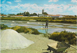 Ils De Noirmoutier - Les Marais Salants - Ile De Noirmoutier