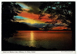 Irland, Upper Lake Killarney - Kerry