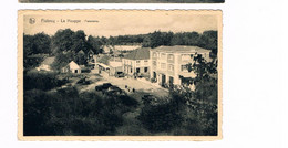 Flobecq - La Houppe. Panorama (Edition Galand) - Flobecq - Vloesberg