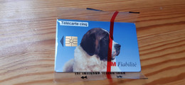 Phonecard France - Dog - Telefoonkaarten Voor Particulieren