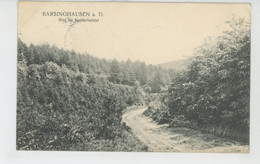 ALLEMAGNE - BARSINGHAUSEN - Weg Im Spalterhalstal - Barsinghausen