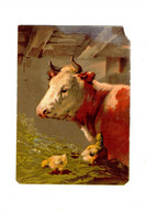 ANCIEN AUTHENTIQUE CHROMO DÉCOUPI - VACHE POUSSINS ANIMAUX FERME - 12 X 8 Cm - Flores