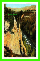 YELLOWSTONE, WY - NEEDLE IN GRAND CANYON NEAR TOWER FALL - YELLOWSTONE PARK - PUB. BY J. E. HAYNES - - Yellowstone