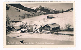 A-4755   SAALBACH : Hotel Peter Gegen Zwölfer-Penhab Und Schusterkogel - Saalbach