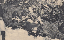 Guerre 1914 :  Manoeuvres Des Chasseurs Alpins . - Ausrüstung