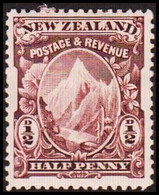 1898. New Zealand.  Landscapes And Birds ½ HALF PENNY.  Hinged. (MICHEL 65) - JF410332 - Nuovi