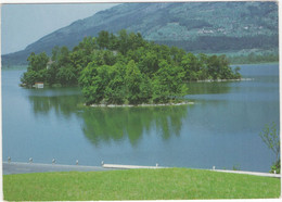 Lauerzersee / Lac De Lauerz - (1988 Stiftung Lauerzersee) - Lauerz