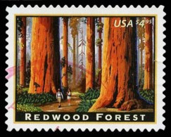 Etats-Unis / United States (Scott No.4378 - Red Wood Forest) (o) TB / VF - Autres & Non Classés