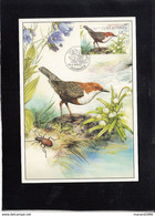 CZECH REPUBLIC, CARTE MAXIMUM, BIRDS - Luscinia Svecica + - Spatzen