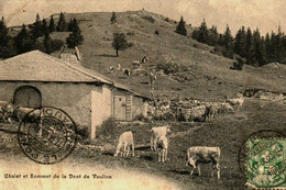 Pays Divers  / Suisse  Schweizerisch / Chalet Et Sommet De La Dent De Vaulion - Vaulion