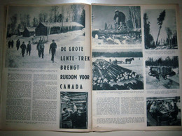 Lentetrek In De Bossen Van Canada (07.04.1955) - Other & Unclassified