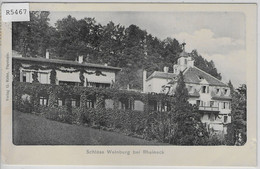 Schloss Weinburg Bei Rheineck - Rheineck