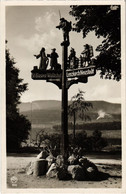 CPA AK Schluchsee Im Schwarzwald GERMANY (1019286) - Schluchsee